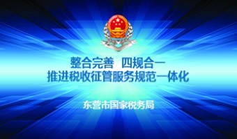 东营国税局税收征管服务PPT