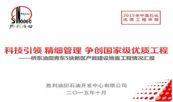胜利油田青东5块地面工程建设汇报