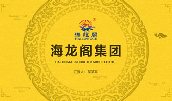 广东海龙阁集团公司简介PPT