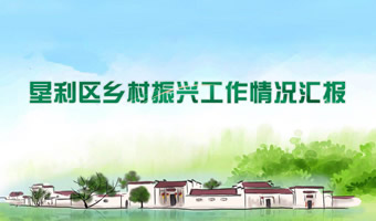 垦利区乡村振兴工作汇报PPT演示