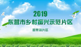 董集镇乡村振兴示范片区成果展示PPT